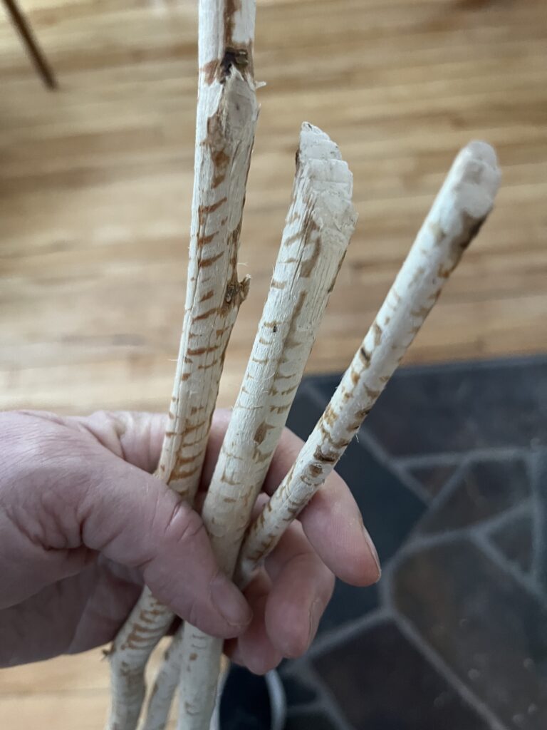Is Your Career Like My Favorite Stick? | Daymark Career Coaching